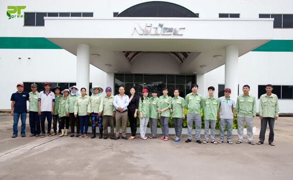 Dịch vụ bảo dưỡng cây xanh Phú Quốc