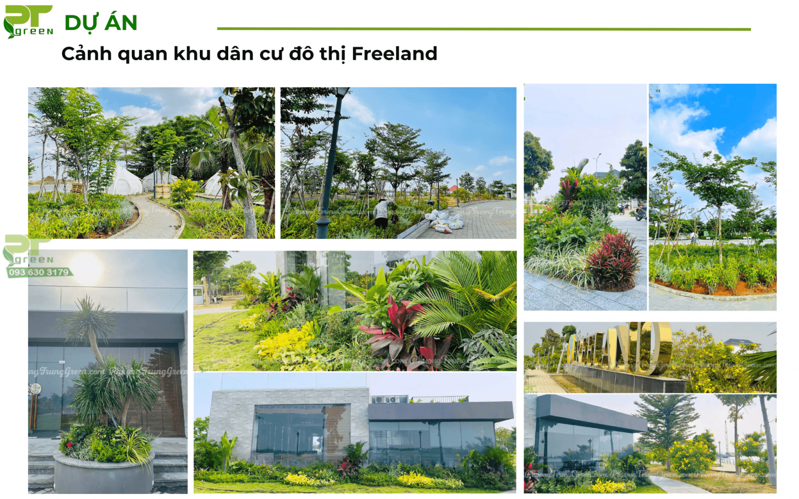 Cảnh quan sân vườn khu dân cư Freeland