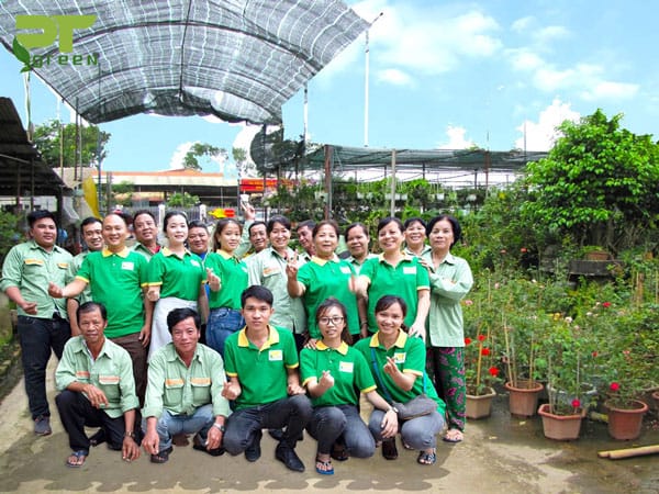 Dịch vụ cây xanh uy tín tại Phú Quốc