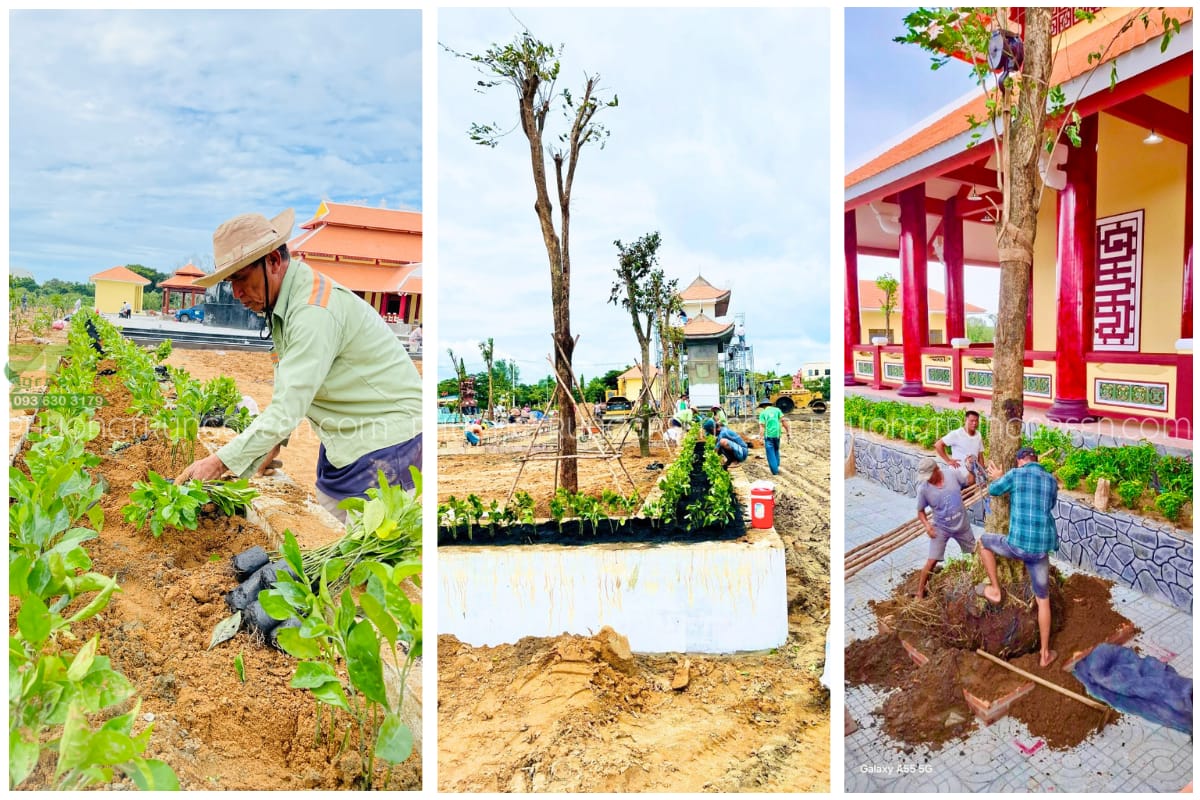 Công nhân kinh nghiệm dày dặn hết mình làm việc