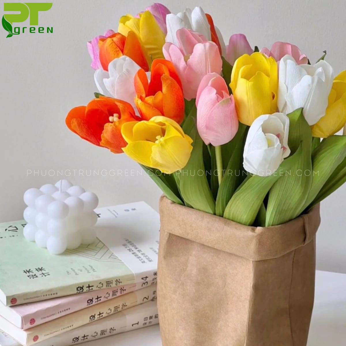 Cách trồng hoa Tulip chậu đất