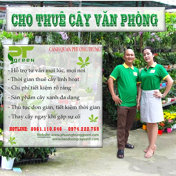 Công ty cho thuê cây cảnh tại Hồ Chí Minh