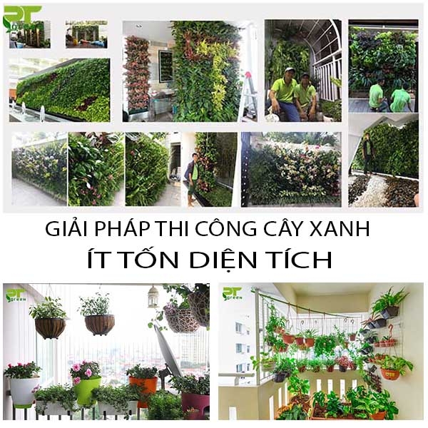 Giải pháp thi công cây xanh không chiếm nhiều diện tích