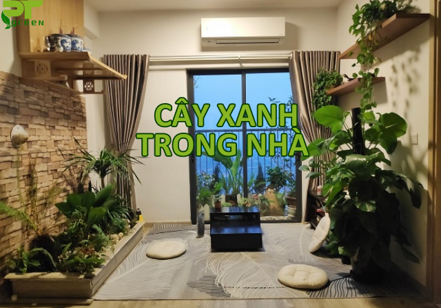 Mách bạn top 7 cây xanh trong nhà và cách trang trí độc đáo, đẹp mắt