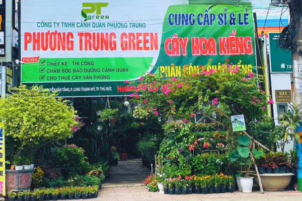 SHOWROOM CÂY XANH QUẬN 9, THỦ ĐỨC - THIÊN ĐƯỜNG CÂY KIỂNG