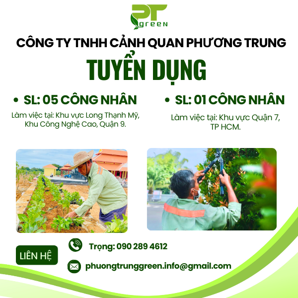 TUYỂN DỤNG CÔNG NHÂN TRỒNG - CHĂM SÓC CÂY XANH, CẢNH QUAN