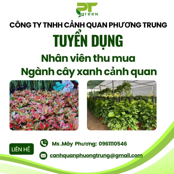 Tuyển Dụng Nhân Viên Thu Mua Cây Xanh