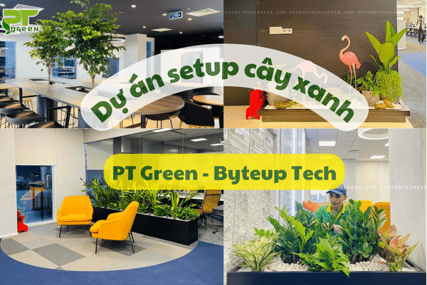 Byteup Tech - PT Green