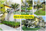 PT GREEN Thi Công Cảnh Quan Cây Xanh Cho Bệnh Viện Chợ Rẫy