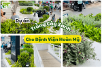 PT Green Thi Công Dự Án Trồng Cây Xanh Tại Bệnh Viện Hoàn Mỹ