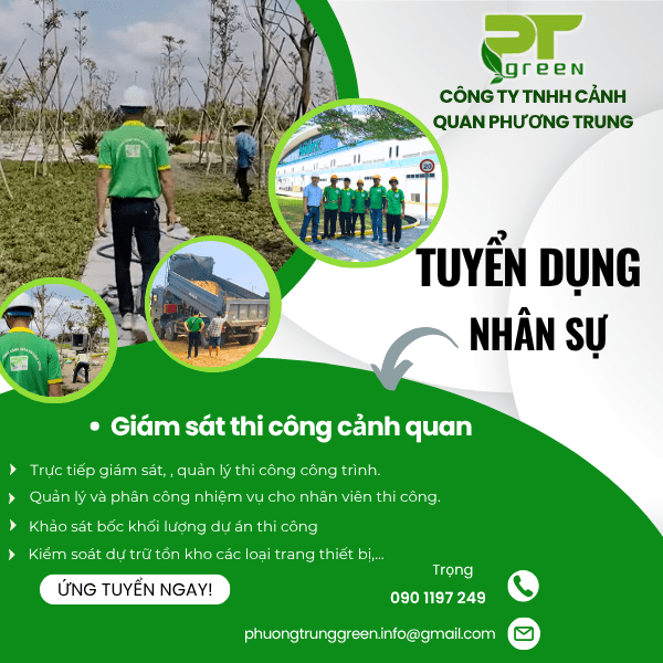 TUYỂN DỤNG GIÁM SÁT THI CÔNG - NGÀNH CẢNH QUAN