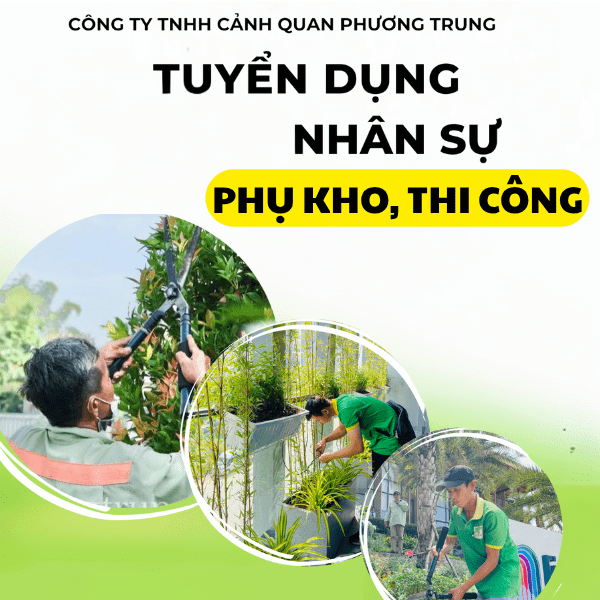 TUYỂN DỤNG NHÂN VIÊN PHỤ KHO, THI CÔNG ĐI LÀM NGAY