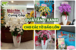 PT Green – Cung Cấp Hoa Lan Chúc Mừng Ngày Báo Chí Cách Mạng Việt Nam