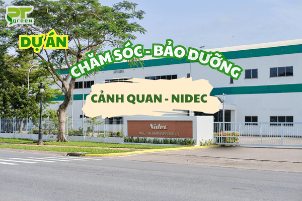 PT GREEN CHĂM SÓC – BẢO DƯỠNG CÂY XANH CHO NIDEC
