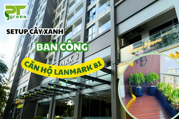PT GREEN SETUP BAN CÔNG TẠI CHUNG CƯ LANDMARK 81