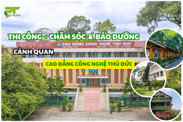 PT Green Thi Công Cảnh Quan Cây Xanh Cho Cao Đẳng Công Nghệ Thủ Đức