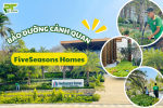 Chăm Sóc Bảo Dưỡng Cảnh Quan Cho Khu Nghỉ Dưỡng Five Seasons Homes