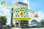 PT Green Cho Thuê Cây Xanh Tại Văn Phòng Tập Đoàn MWG