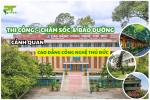 PT Green Thi Công Cảnh Quan Cây Xanh Cho Cao Đẳng Công Nghệ Thủ Đức