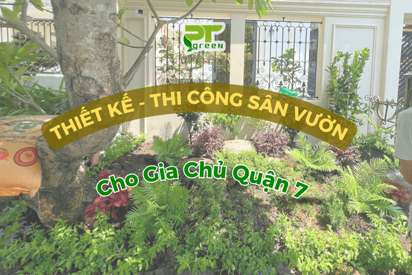 THIẾT KẾ & THI CÔNG CẢNH QUAN SÂN VƯỜN GIA CHỦ QUẬN 7 HCM