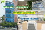 DỰ ÁN CHĂM SÓC - BẢO DƯỠNG CÂY VĂN PHÒNG CÔNG TY HÒA PHÁT