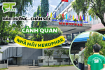 PT GREEN CHĂM SÓC – BẢO DƯỠNG CẢNH QUAN CÂY XANH CHO NHÀ MÁY MEKOPHAR