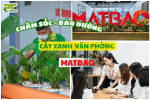 PT GREEN CHO THUÊ & CHĂM SÓC CÂY XANH VĂN PHÒNG MATBAO