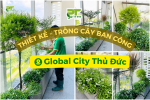 PT GREEN THI CÔNG TRỒNG CÂY XANH BAN CÔNG TẠI GLOBAL CITY THỦ ĐỨC