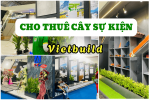 PT GREEN CHO THUÊ CÂY XANH SỰ KIỆN TẠI TRIỂN LÃM VIETBUILD