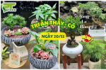 QUÀ TẶNG XANH 20/11 – TRI ÂN THẦY CÔ CÙNG PT GREEN