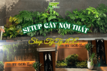 THI CÔNG – SETUP CÂY NỘI THẤT CHO SHOP TYTY 2CE